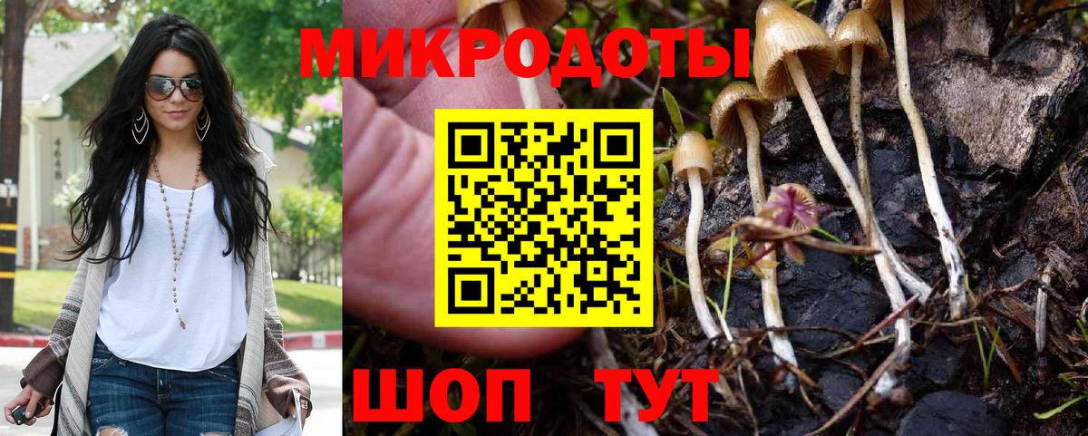Псилоцибиновые грибы мухоморы Пугачёв